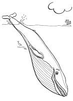A coloring page of sea animal